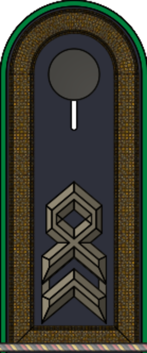 HD H 34 Stabsfeldwebel Fm.svg