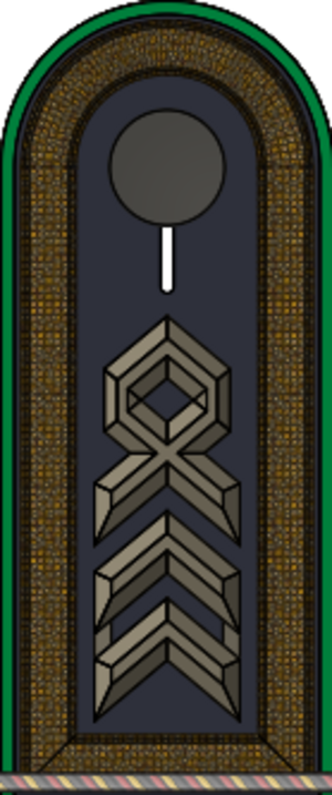HD H 21 Unteroffizier PzGren.svg