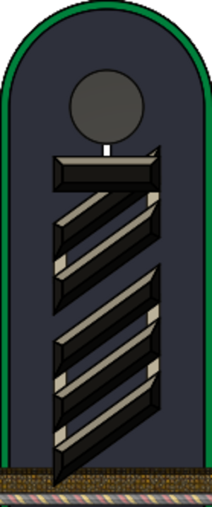 HD H 16 Oberstabsgefreiter Fm L.svg