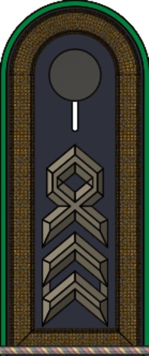HD H 31 Feldwebel Art.svg